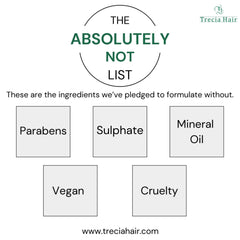 Shine and Shield Hair Serum